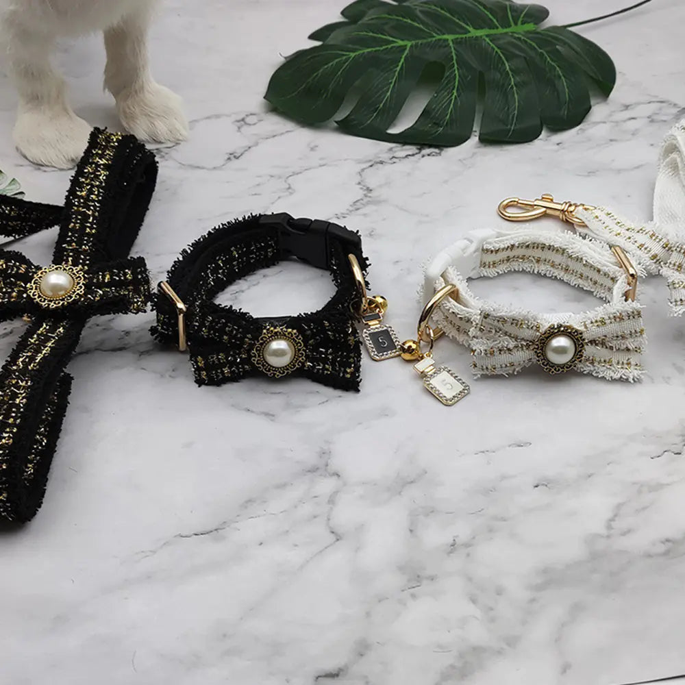 Pet Collar and Leash Set for Outdoor Use
